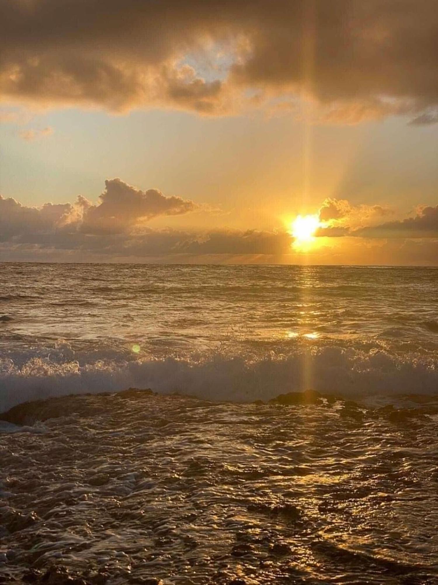 Chez Tamatuamai Otel Avatoru Dış mekan fotoğraf